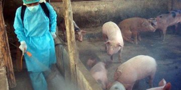 GIẢI PHÁP PHUN XỊT KHỬ TRÙNG