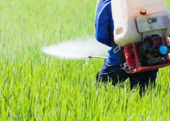 GIẢI PHÁP CHĂM SÓC HOA MÀU