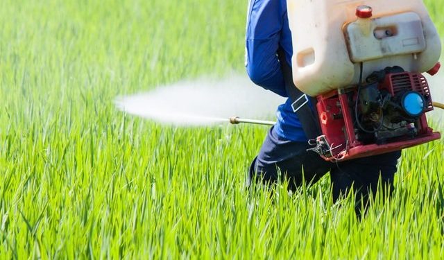 GIẢI PHÁP CHĂM SÓC HOA MÀU