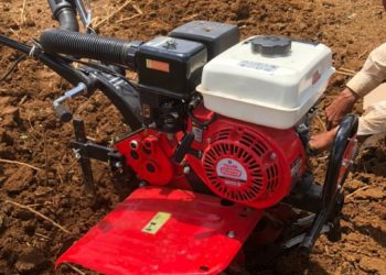 GIẢI PHÁP TRỒNG DỨA