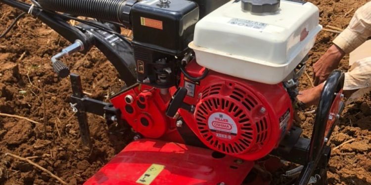 GIẢI PHÁP TRỒNG DỨA