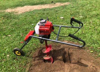 GIẢI PHÁP TRỒNG NHO