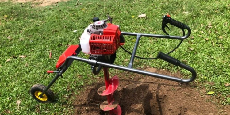 GIẢI PHÁP TRỒNG NHO