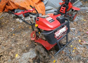 GIẢI PHÁP TRỒNG HOA MÀU