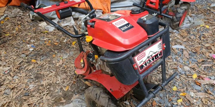 GIẢI PHÁP TRỒNG HOA MÀU