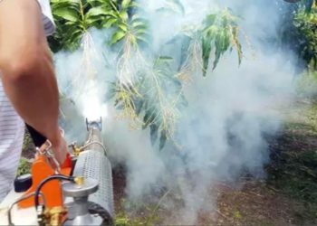 GIẢI PHÁP KHỬ TRÙNG CHUỒNG NUÔI