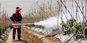 GIẢI PHÁP DIỆT MỌT NÔNG SẢN