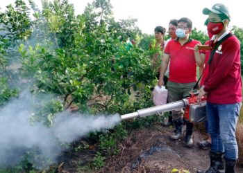 GIẢI PHÁP DIỆT MỌT NÔNG SẢN