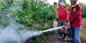 GIẢI PHÁP DIỆT MỌT NÔNG SẢN