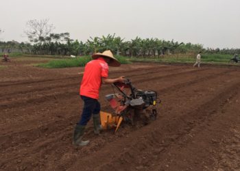 GIẢI PHÁP SỬ DỤNG MÁY LÀM ĐẤT ĐA NĂNG