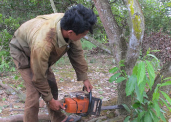 HƯỚNG DẪN SỬA CHỮA MÁY CƯA XÍCH CHẠY XĂNG