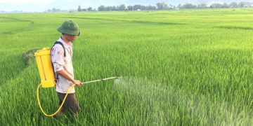 GIẢI PHÁP DIỆT MỌT NÔNG SẢN