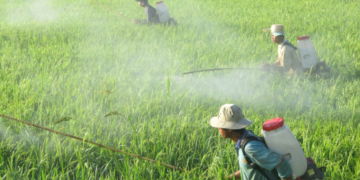 GIẢI PHÁP PHUN THUỐC TRỪ SÂU