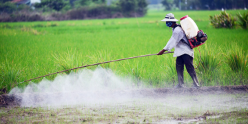 MÁY PHUN LÚA GIỐNG