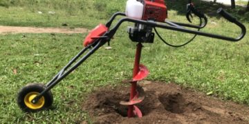 GIẢI PHÁP TRỒNG CÂY BƠ