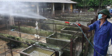 GIẢI PHÁP CHĂN NUÔI