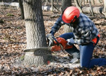 HƯỚNG DẪN SỬ DỤNG MÁY CƯA XÍCH CHẠY XĂNG