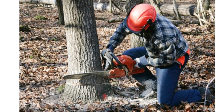 HƯỚNG DẪN SỬ DỤNG MÁY CƯA XÍCH CHẠY XĂNG