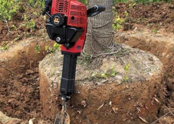 GIẢI PHÁP BỨNG VÀ VẬN CHUYỂN CÂY