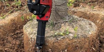 GIẢI PHÁP BỨNG VÀ VẬN CHUYỂN CÂY