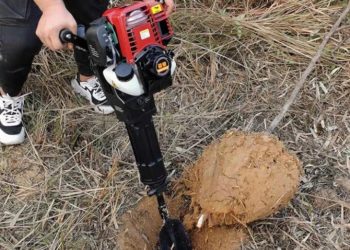 GIẢI PHÁP BỨNG VÀ VẬN CHUYỂN CÂY