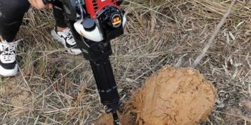 GIẢI PHÁP BỨNG VÀ VẬN CHUYỂN CÂY