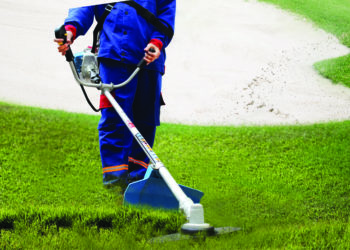 GIẢI PHÁP QUẢN LÝ CỎ DẠI