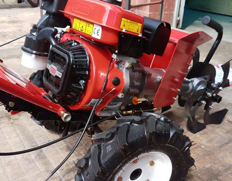 GIẢI PHÁP TRỒNG CỎ VOI