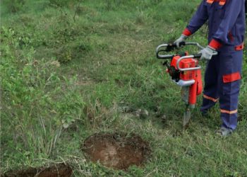 GIẢI PHÁP QUẢN LÝ CỎ DẠI