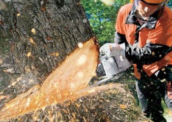 HƯỚNG DẪN SỬA CHỮA MÁY CƯA XÍCH CHẠY XĂNG