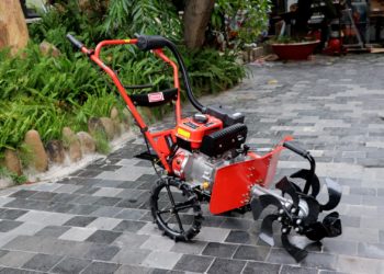 GIẢI PHÁP CANH TÁC CÂY CÀ PHÊ