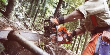 GIẢI PHÁP CANH TÁC CÂY XANH ĐÔ THỊ