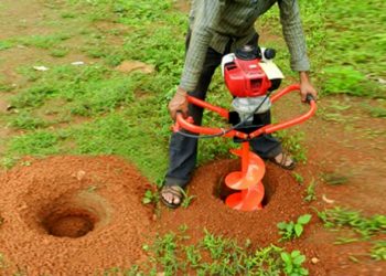 GIẢI PHÁP TRỒNG NHO