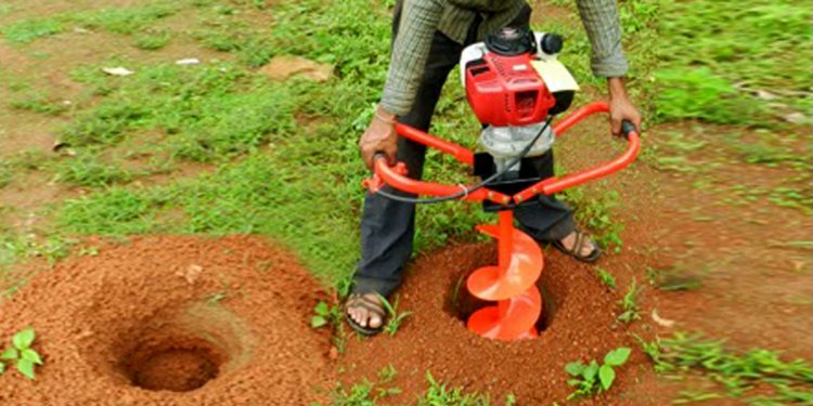 GIẢI PHÁP TRỒNG NHO