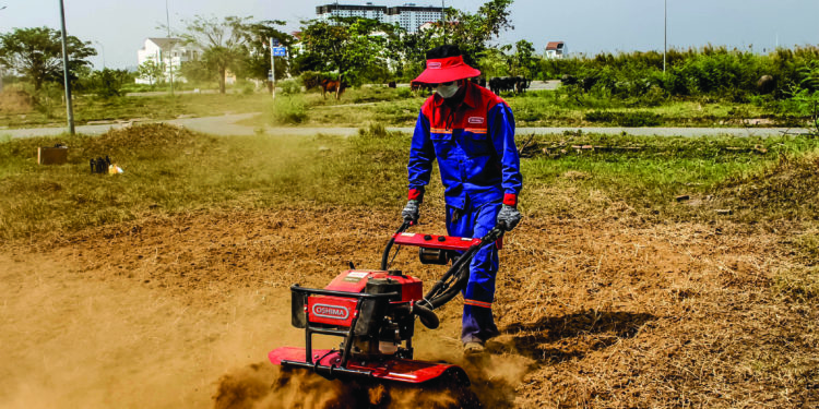 GIẢI PHÁP TRỒNG CÂY KIỂNG