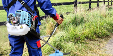 GIẢI PHÁP TRỒNG HOA MÀU