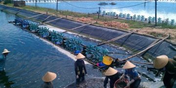 GIẢI PHÁP NUÔI TRỒNG THỦY SẢN