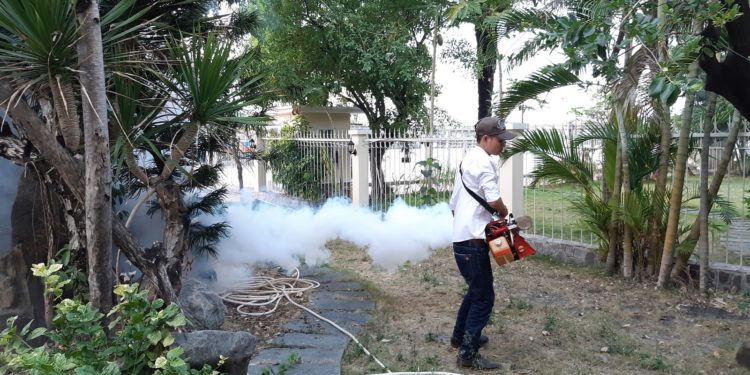 GIẢI PHÁP DIỆT MUỖI