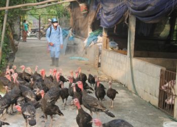 GIẢI PHÁP KHỬ TRÙNG CHUỒNG NUÔI