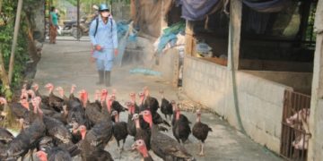 GIẢI PHÁP KHỬ TRÙNG CHUỒNG NUÔI