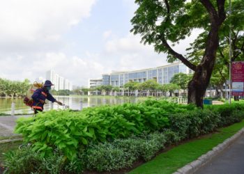 GIẢI PHÁP CANH TÁC CÂY XANH ĐÔ THỊ