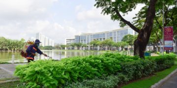 GIẢI PHÁP CANH TÁC CÂY XANH ĐÔ THỊ