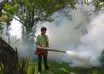 GIẢI PHÁP PHUN THUỐC TRỪ SÂU