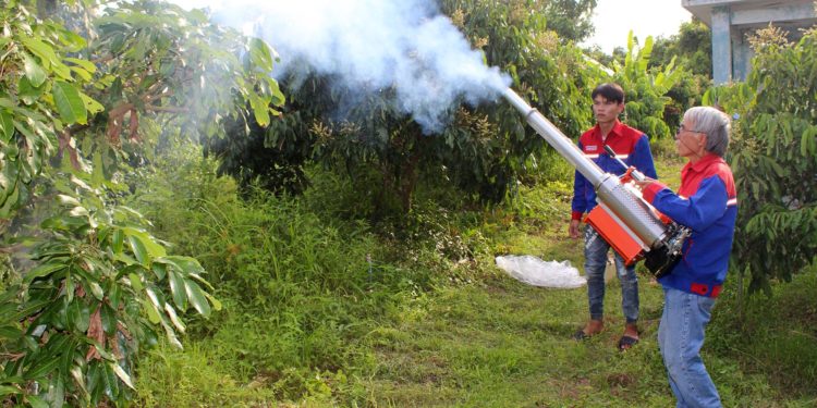 GIẢI PHÁP DIỆT MỌT NÔNG SẢN