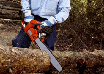 GIẢI PHÁP TRỒNG TRỌT