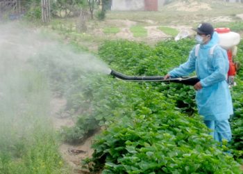 GIẢI PHÁP PHÒNG TRỪ SÂU BỆNH