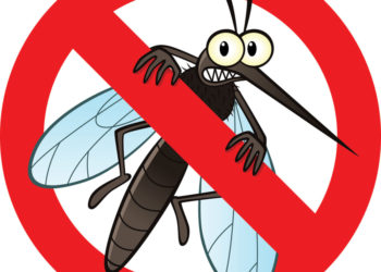 GIẢI PHÁP DIỆT MUỖI