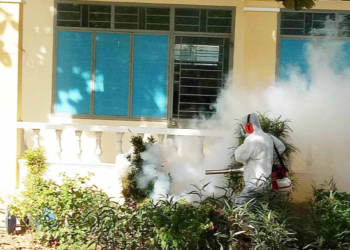 GIẢI PHÁP DIỆT MUỖI