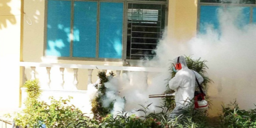 GIẢI PHÁP DIỆT MUỖI