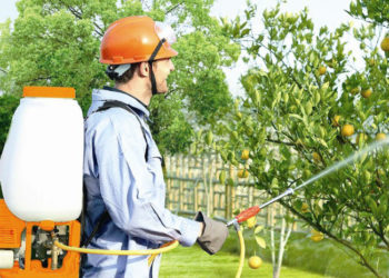 GIẢI PHÁP GIEO SẠ LÚA